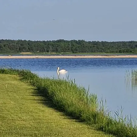 Elimaa-lepiku Σαλέ Hobesalu